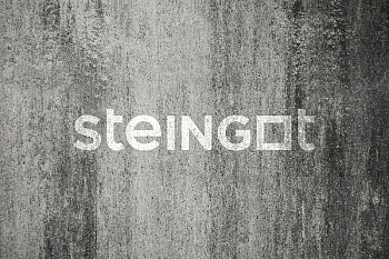 ���������� ������ Steingot ������ "����� ���� Stein Silver"